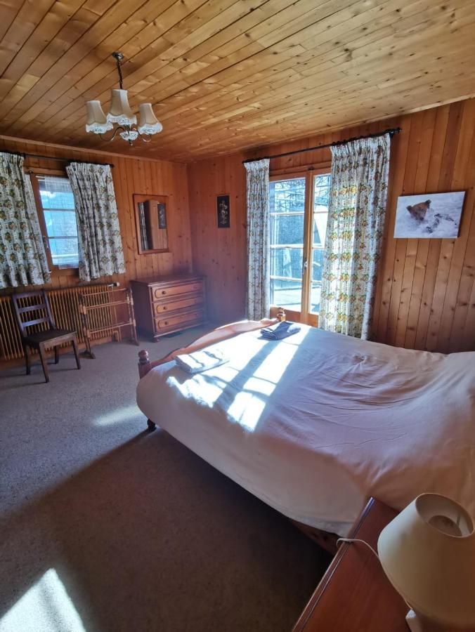 Chalet Traditionnel Avec Jacuzzi Exterieur Bex ภายนอก รูปภาพ